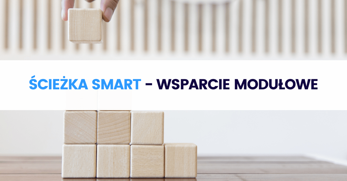 Wsparcie modułowe w ramach Funduszu Europejskiego dla Nowoczesnej Gospodarki Wsparcie modułowe w ramach Funduszu Europejskiego dla Nowoczesnej Gospodarki