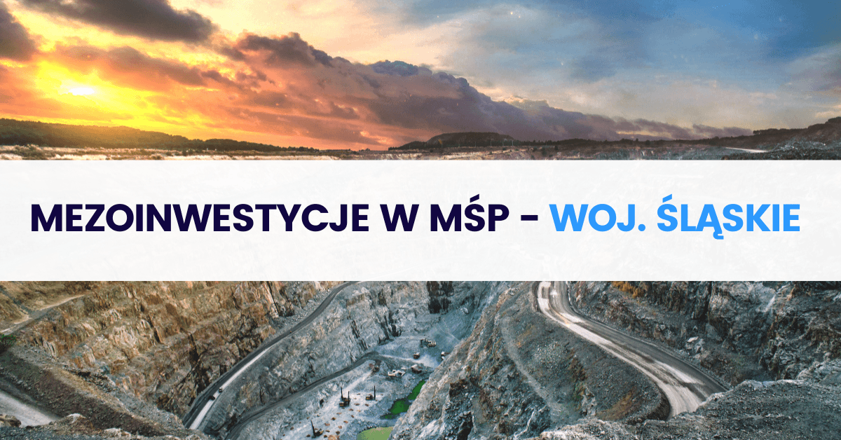 Mezoinwestycje w MŚP – woj. śląskie